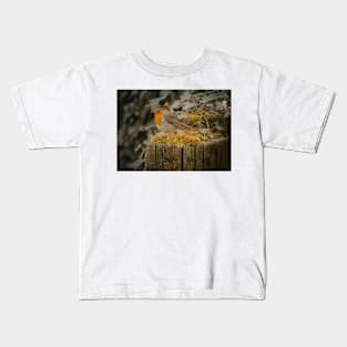 Small Bird with Orange Tummy Kids T-Shirt